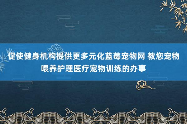 促使健身机构提供更多元化蓝莓宠物网 教您宠物喂养护理医疗宠物训练的办事